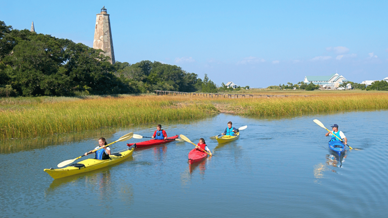 From Politics to Millions: Edwina Currie's Diverse Wealth Streams